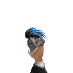 @sillykittyrblx117