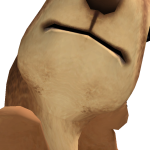 @mbarbpup