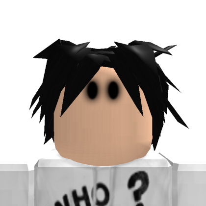 Roblox profile picture for @heater
