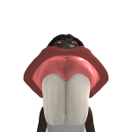 @Alexisthegoat248