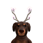 @BrickDevRBLX