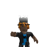 @bossprokingninja