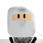 @arcticninja59877