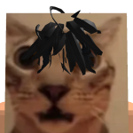 @IDK_4173