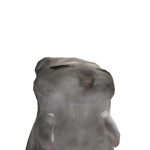 @ark_thegreat