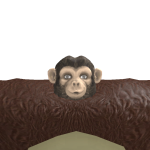 @Frogedemo
