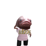 @kash5521