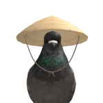 K_jkj