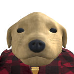 @MRcrafterr24