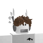 @M_lanRBLX