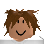 @seagullgamer2020