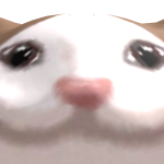 @kyleishere122