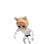 @galinha_idiota