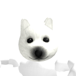 @FiF_Hund123