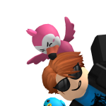 @Irobloxboy2011