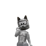 @Masterkittylover8