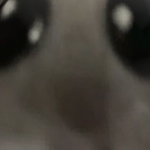 @unicornplays180