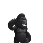 @ProGamerAsh0