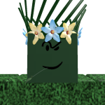 @RAlDOTH