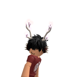@Zylxcs