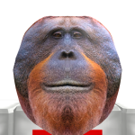 @henrypig999