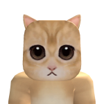@YoWexi
