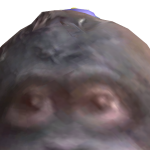 @knuckles3661