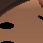 @trimity1244