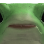 @Shrimpyvibez