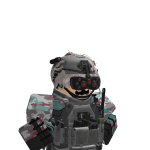 @ImNotRealHyperShadic