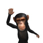 @BSA1000x