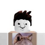@NewFireShard