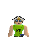 @lecheauthegamerplayz