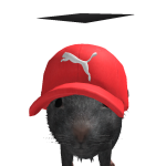 @PedrinhoGamer1215