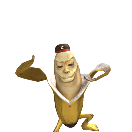 developerrobloxispro