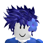 @bigsonicfan707