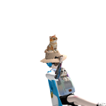 @me_zzzZZZZZZZ