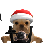 @HawkPharm005