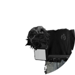 Profile Banner of Cruz