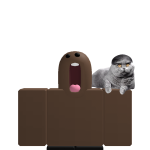 @Bloxnoah2013