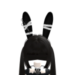 @IINVISlBLE
