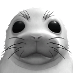 @MasterRodrigo2014