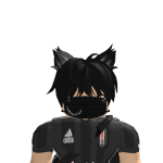 @Reset41525617