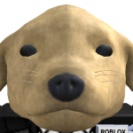 @roblox_user_4445131503