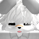 @Webshares
