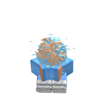 @Robim2513
