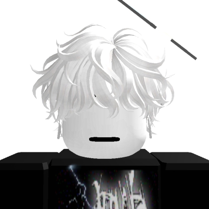 Roblox profile picture for @polish
