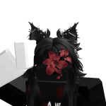 @hayooshgamer207