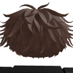 @Robloxkid201345