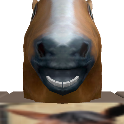 wiki4566
